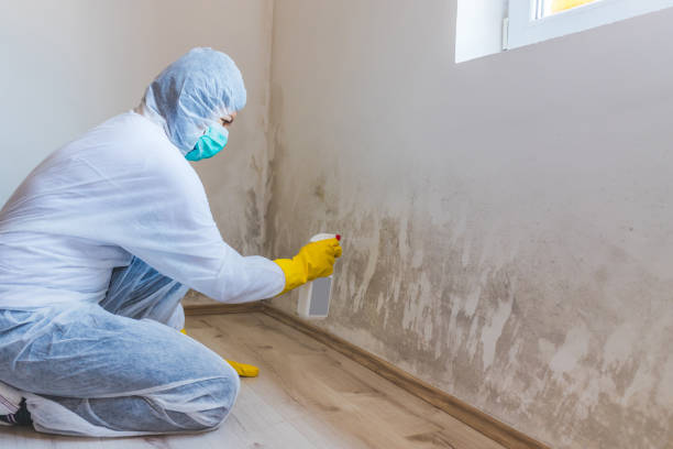 Commercial Mold Remediation assessment for commercial property in Bluemont